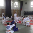 Országos judo edzőtábor - dombóvári részvétellel