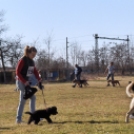 Kutyaszépségverseny 2012.03.17.