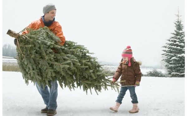 Karácsonyi szereposztás: A férfi fát hoz, a nő otthon robotol? 