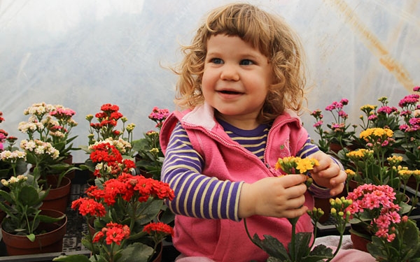 Nőnapi virágvásár a Kokolino kertészetnél
