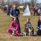 Kutyaszépségverseny 2012.03.17.
