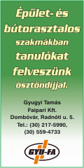 Gyugyi Tamás 2013 16