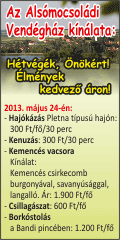 Alsómocsoládi Vendégház 2013 20