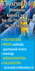 Patyolat 2013 20