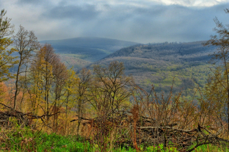Eltévedt egy férfi két kisgyerekkel a Börzsönyben - reggel találták meg őket