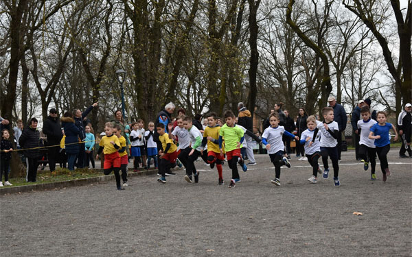 Városi Mezei Futóversenyt rendeztek a Szigeterdőben