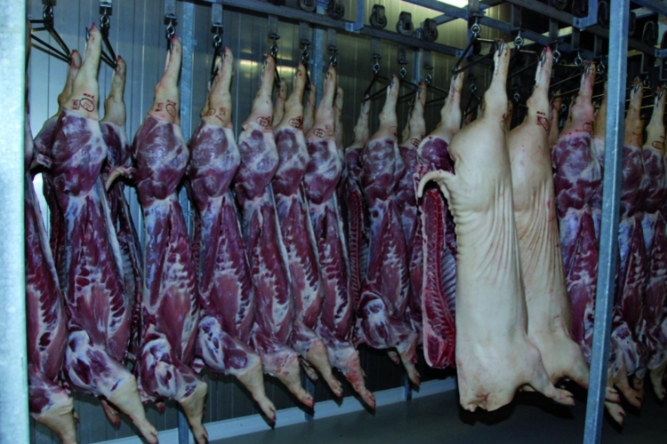 Oroszország várhatóan március közepén oldja fel a magyar sertéshús importtilalmát