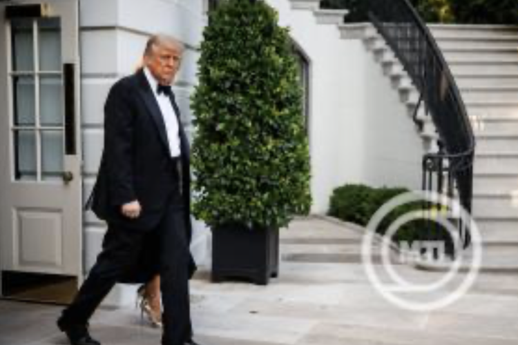 Illegális bevándorlás - Donald Trump: a mezőgazdaságban dolgozó migránsokkal kivételt lehet tenni a kitoloncolások alól