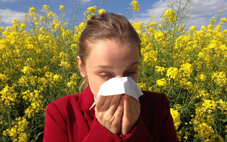 Allergiás tüneteket okozhatnak a pázsitfűfélék