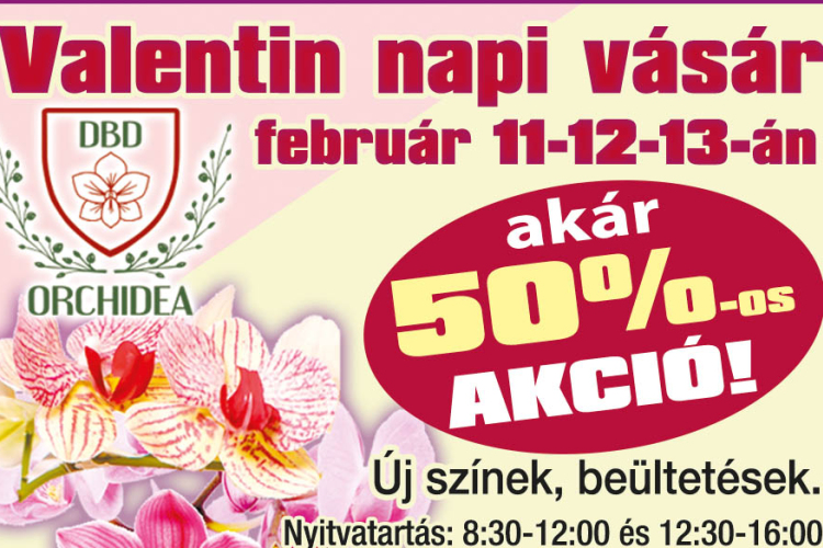 Ma kezdődik a Valentin napi orchidea vásár Kaposszekcsőn