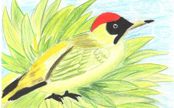 Dostalgia kiállítás alkotó-játék eredményei