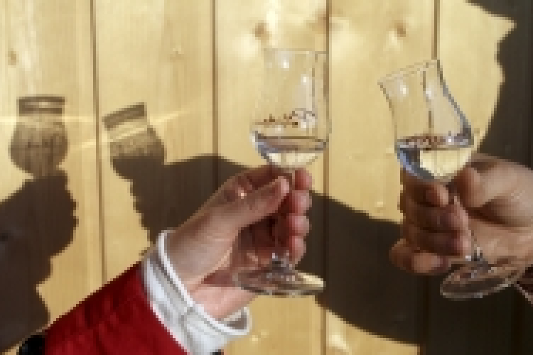 2014 a körtepálinka éve 