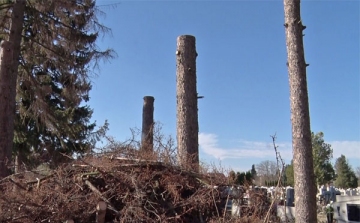 Kivágták az elszáradt fákat az újdombóvári temetőben