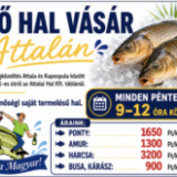 Élő hal vásár Attalán - Bognár Attila