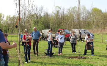 50 facsemetével bővült a Kis-polgárok parkja