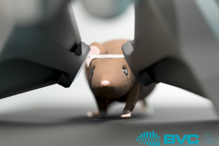 Magyar kutatók saját fejlesztésű VR eszközükkel fedezték fel a látás új mechanizmusait