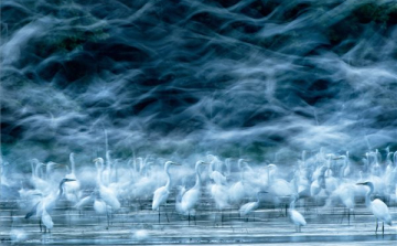 Magyar fotós kapta a National Geographic pályázatának egyik elismerését