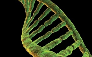 Ikerbalsiker: hiába a DNS, nem tudják, melyik iker a bűnös