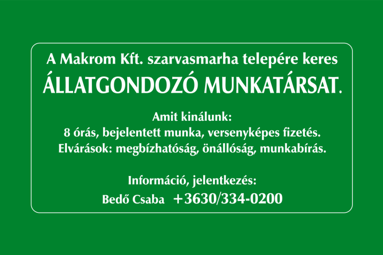 A Makrom Kft. szarvasmarha telepére keres állatgondozó munkatársat