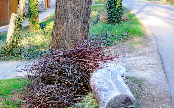 Tájékoztató a zöldhulladék-szállítás időpontjáról