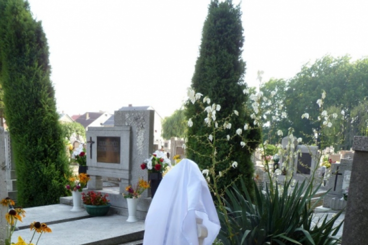 Újdombóvár temetője - könyvbemutató 2012.06.30.