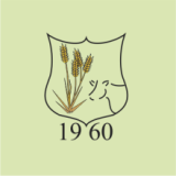 Műszakvezető 