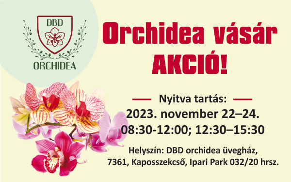 Orchidea vásár AKCIÓ!