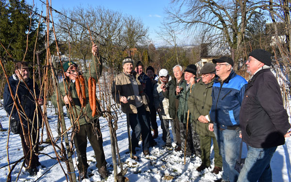 A dombóvári kertbarátok mindent megtetettek a bőséges szőlőtermés érdekében