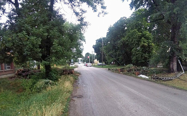 Négy ember halt meg, amikor fa dőlt egy autóra Dombóváron