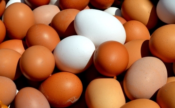 Veszélyes lehet a külföldi tojás a tojástermelők szerint
