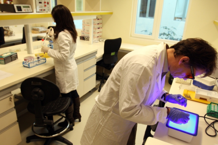 Epilepszia elleni gyógyszer állíthatja meg a HIV terjedését? 