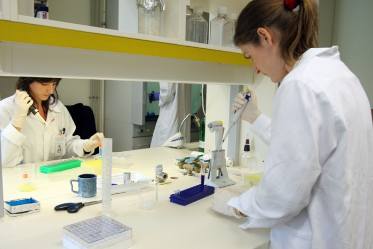 Hogyan lehetne itthon tartani az orvosokat?