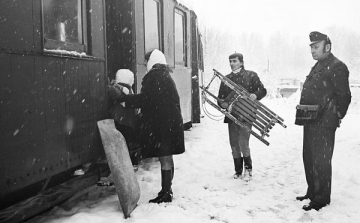Dombóvári fotós a díjazottak között