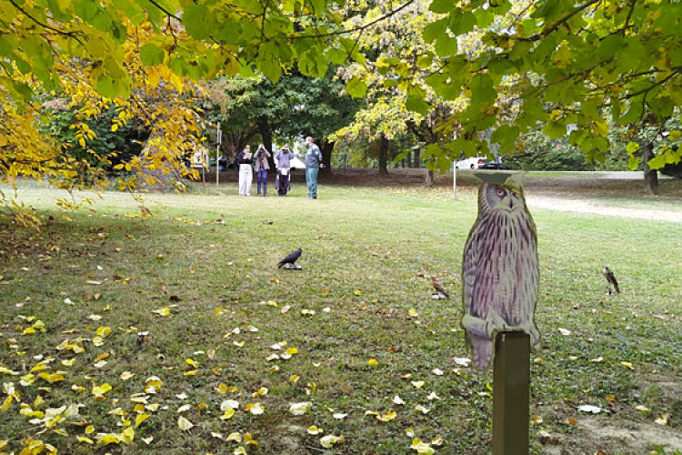 Diákok Fekete István nyomában, a Dél-Zselicben