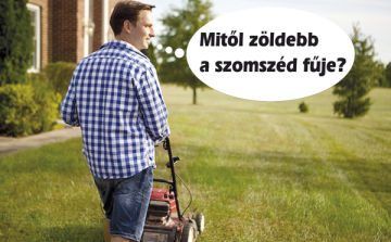 Zöldterületének ápolásához is bérelhet eszközöket a D-Gép-nél!