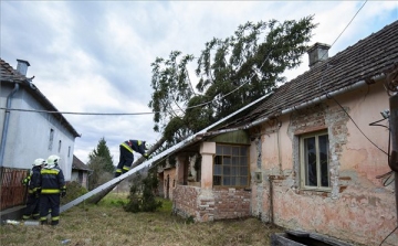 Fákat döntött ki, épületeket rongált meg a viharos szél országszerte