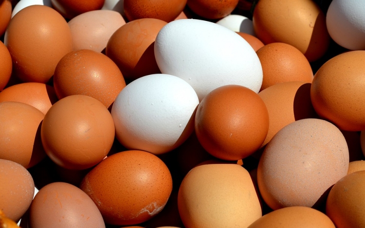 Veszélyes lehet a külföldi tojás a tojástermelők szerint