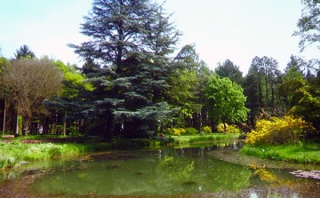 Dombóvári Herbárium – Magyarország legszebb arborétumai és botanikus kertjei