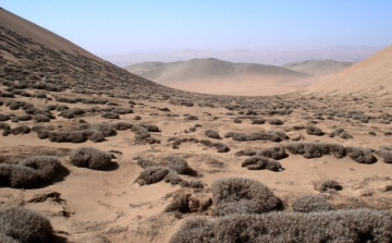 Felderítették az Atacama-sivatag ködének 3500 éves történetét