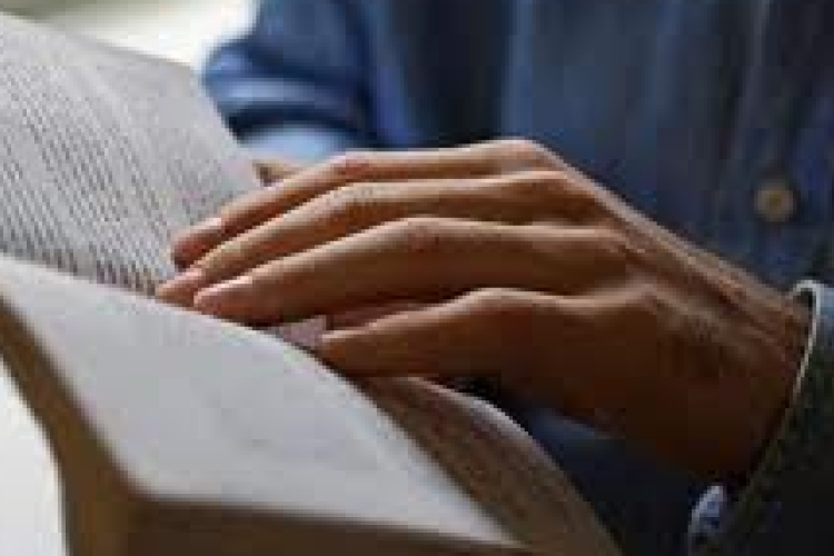 Ezt olvastuk 2013-ban