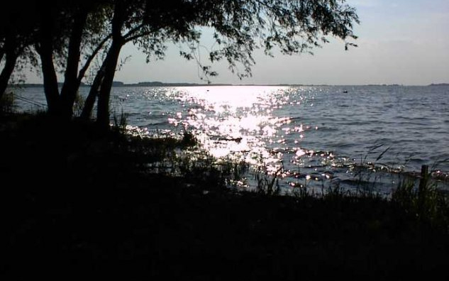 Tisztítják a Tisza-tavat