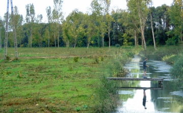 Befejeződött a Kis-Konda-patak völgyének helyreállítása Dombóváron