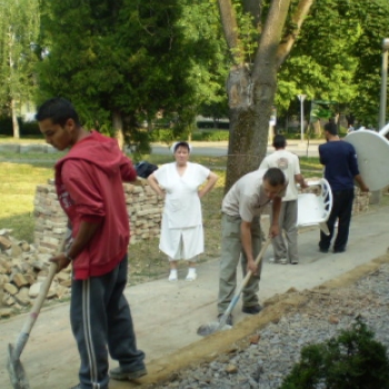 Az Ipari Iskola diákjainak önkéntes munkája 2011. ősz