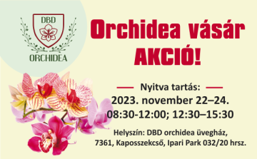 Orchidea vásár AKCIÓ!