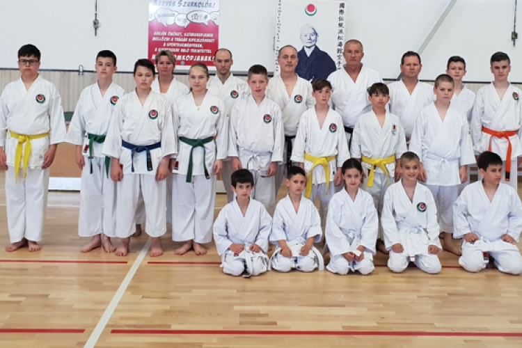 Hét danos karate mester tartott edzést Dombóváron