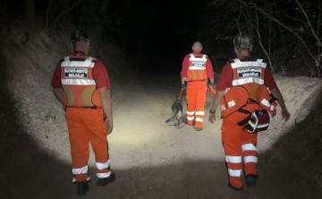 Csaknem 30 órányi keresés után találták meg a Páriból eltűnt nőt