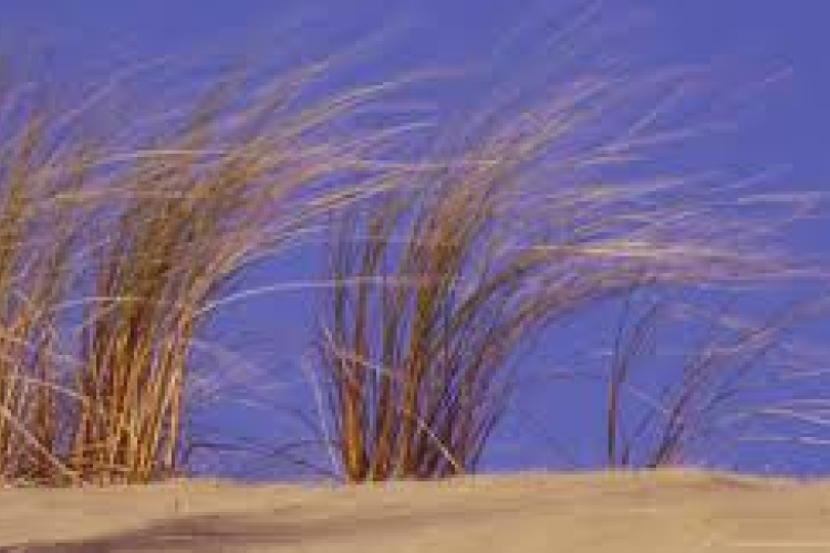 Erős széllel jön a hidegfront