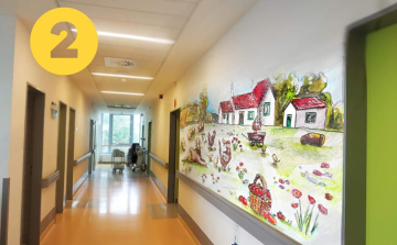 Önkénteseket keres a Nevetnikék Alapítvány újabb falfestő projektjéhez a dombóvári kórházban