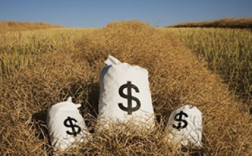 Az alacsony gabonaárak az állattenyésztőknek kedveznek