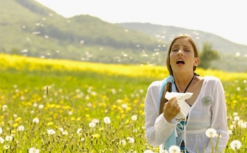 Már okozhat allergiás tüneteket a pollenszórás